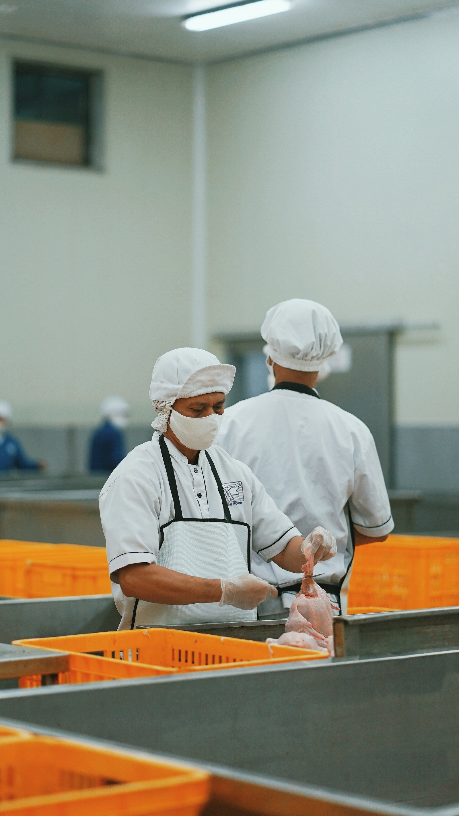 Food production workers in hygiene clothing and hair nets